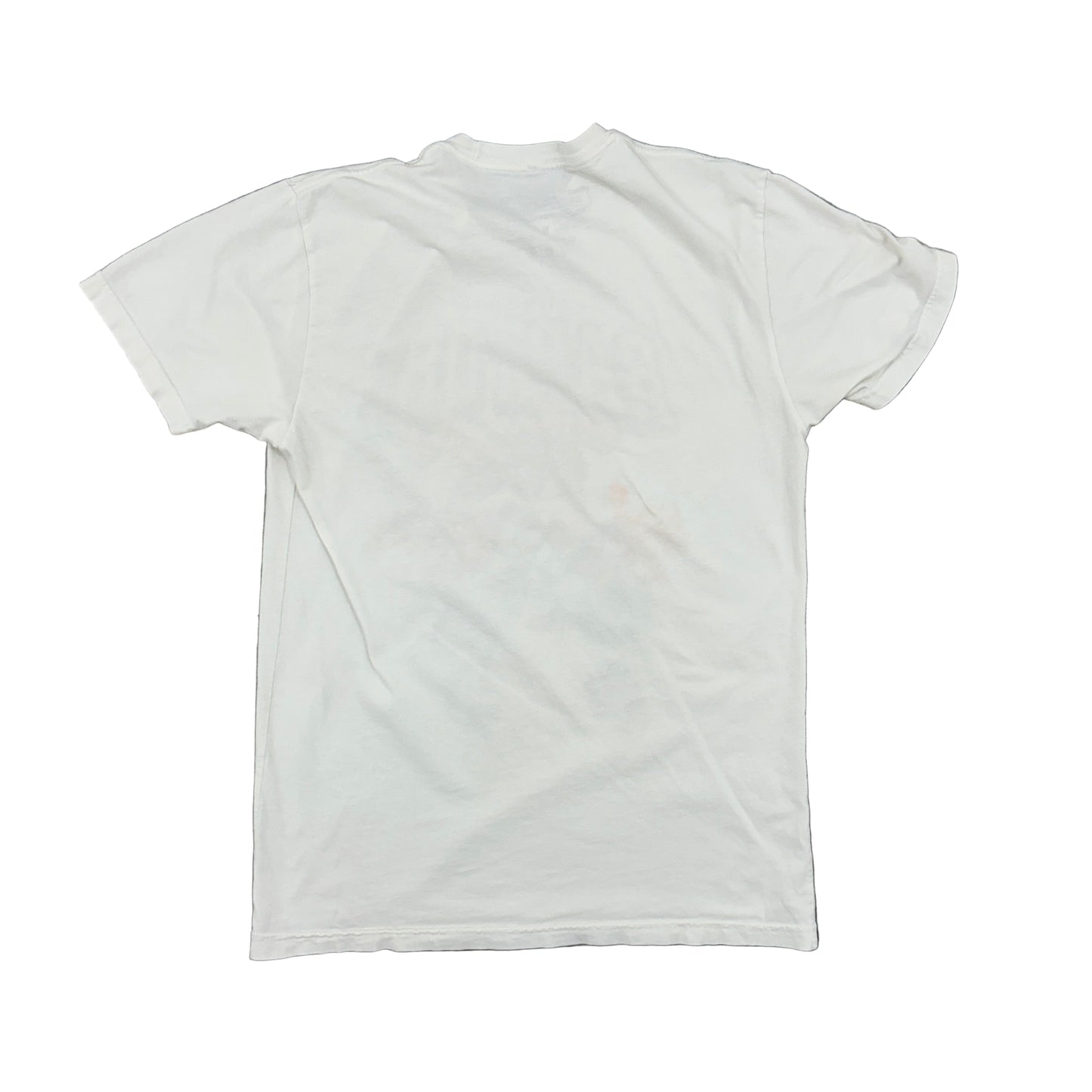Toronto Raptors Tee