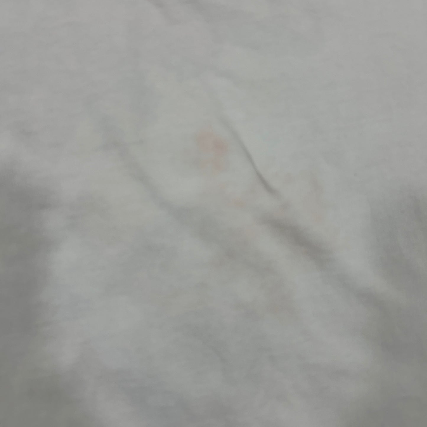 Toronto Raptors Tee
