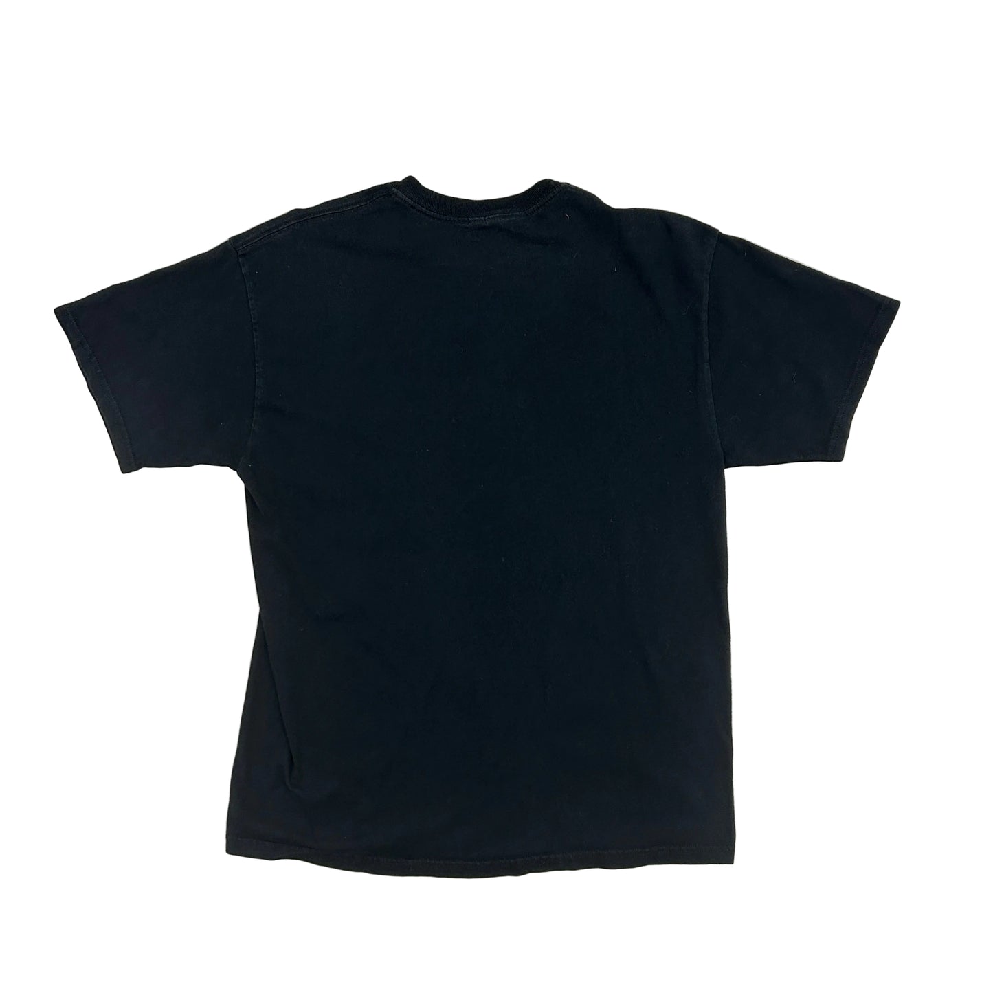 Vtg NFL Pittsburgh Steelers Football Tee