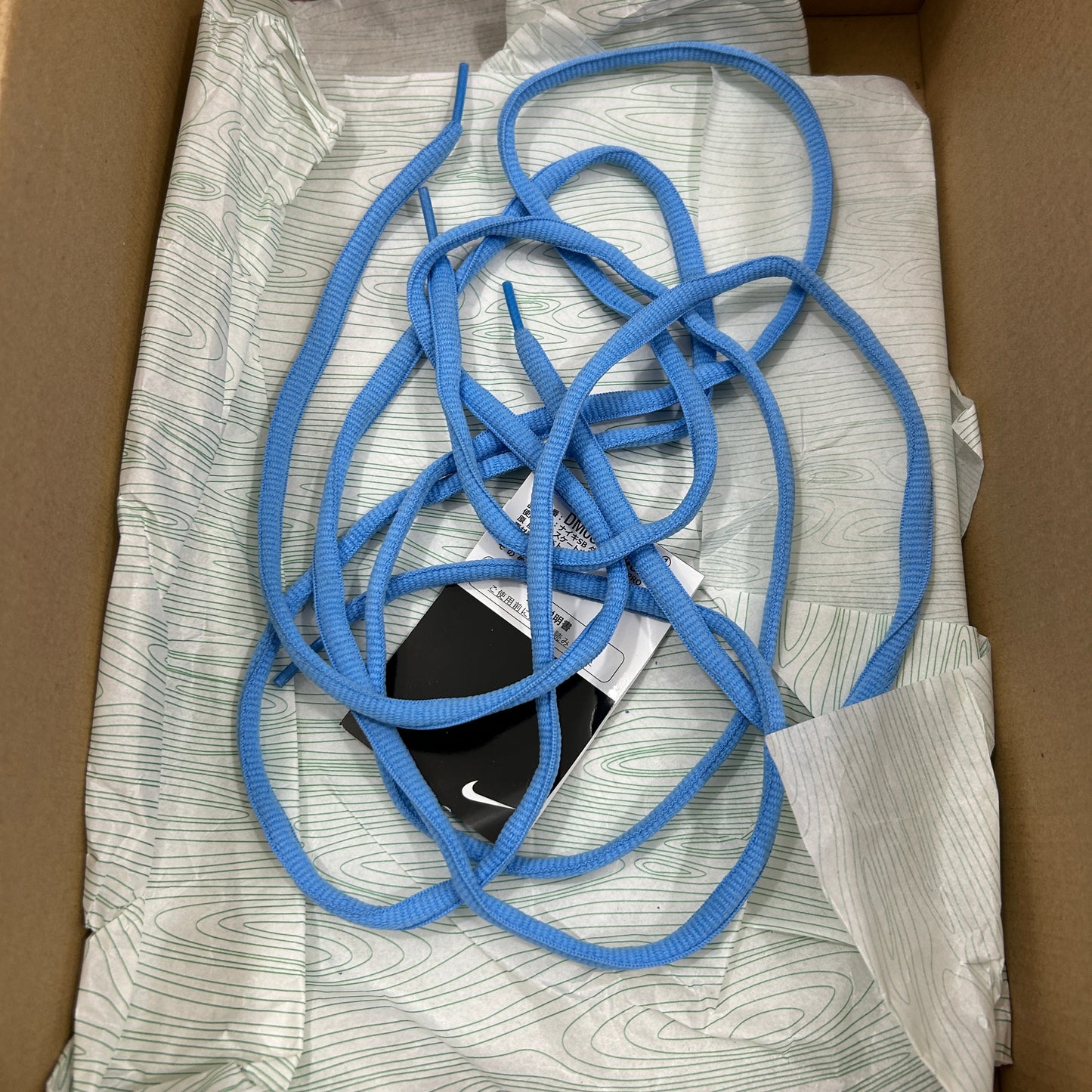 Nike SB Dunk Low Blue Raspberry