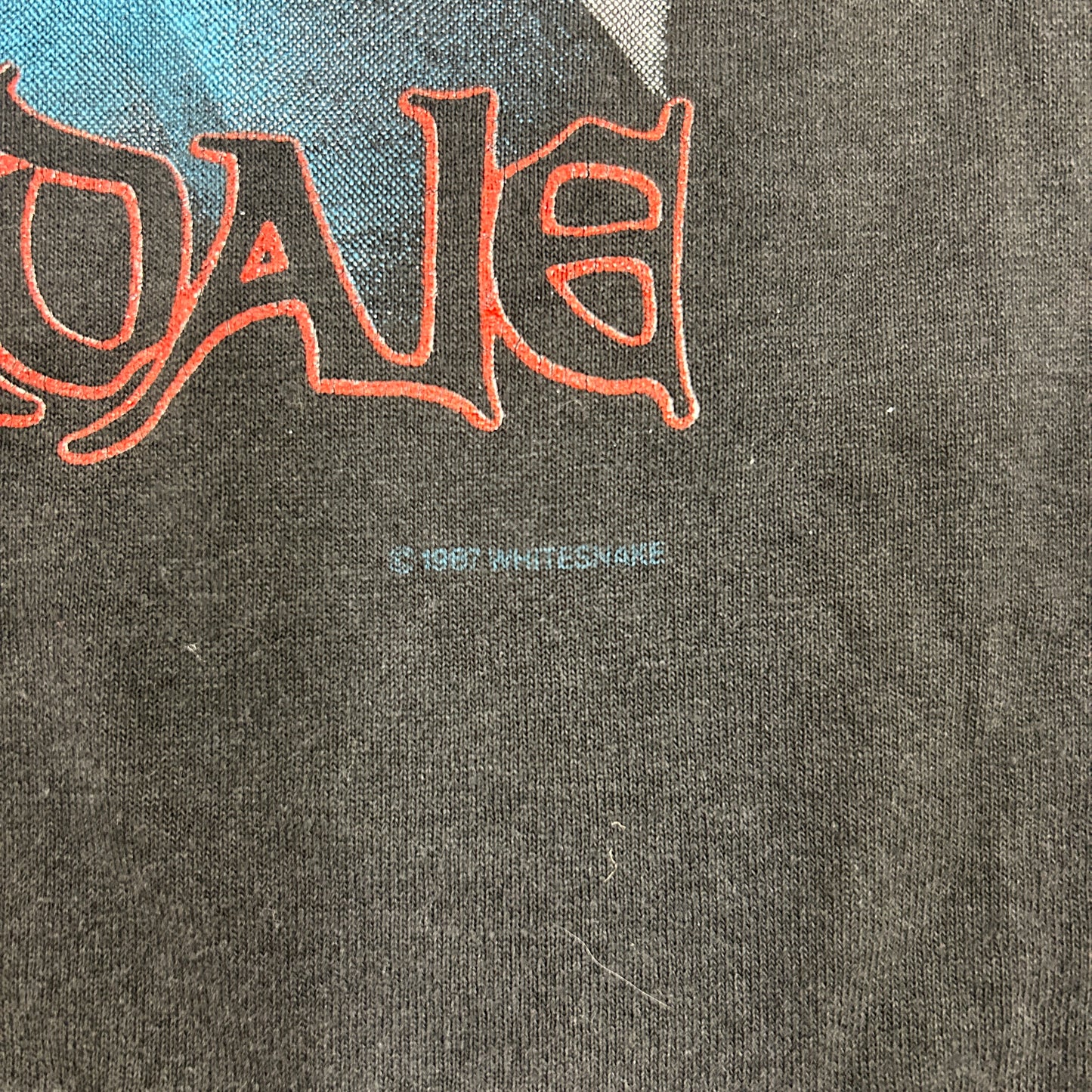 Vintage WHITESNAKE David Coverdale 1988 Tour Rock Concert Tee